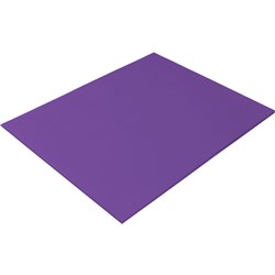 Rainbow Spectrum Board 220gms 20 Sheets Purple