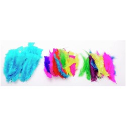 JASART FEATHERS SMALL Astd Colours Pk/51