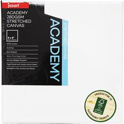 Jasart Academy Canvas 1/2 Inch 2 Thick Edge 203X203mm