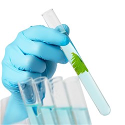 NITRILE ULTRASOFT BLUE GLOVE MEDIUM - BOX 200 POWDER FREE, MICRO TEXTURED